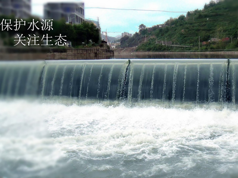 Chairman Chen Erfan Participated in Liaoning International Rubber Technology Exchange Festival as a Specially Invited Expert.