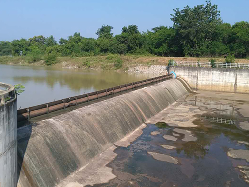 Chairman Chen Erfan Participated in Liaoning International Rubber Technology Exchange Festival as a Specially Invited Expert.