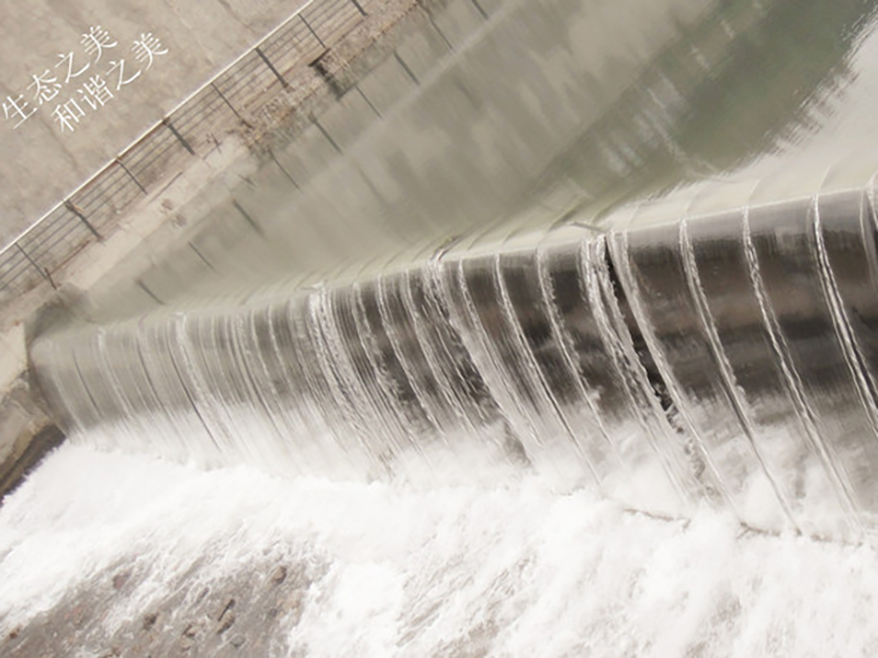 Chairman Chen Erfan Participated in Liaoning International Rubber Technology Exchange Festival as a Specially Invited Expert.