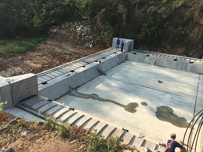 Chairman Chen Erfan Participated in Liaoning International Rubber Technology Exchange Festival as a Specially Invited Expert.