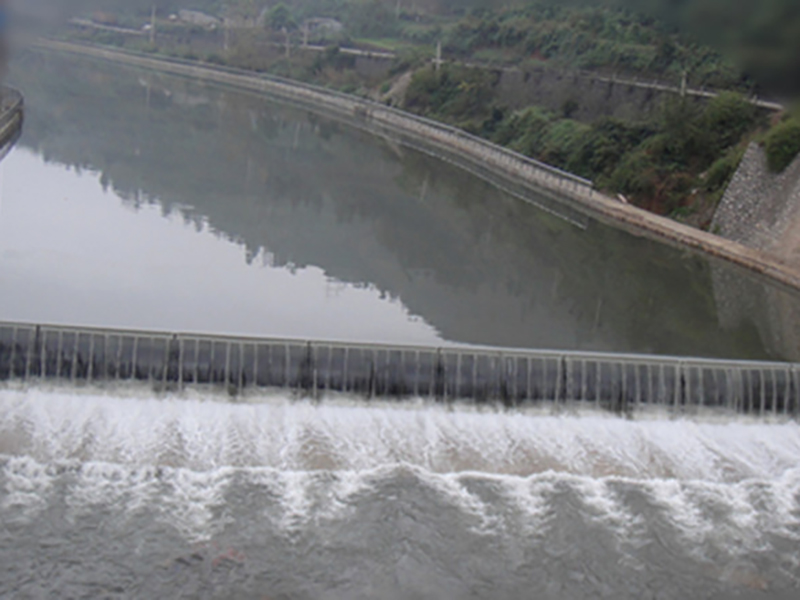 Chairman Chen Erfan Participated in Liaoning International Rubber Technology Exchange Festival as a Specially Invited Expert.