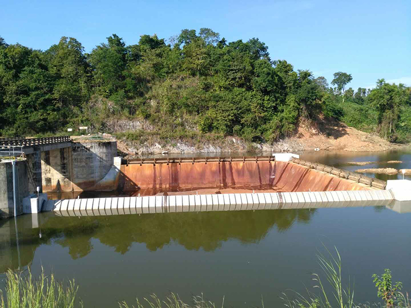 Chairman Chen Erfan Participated in Liaoning International Rubber Technology Exchange Festival as a Specially Invited Expert.